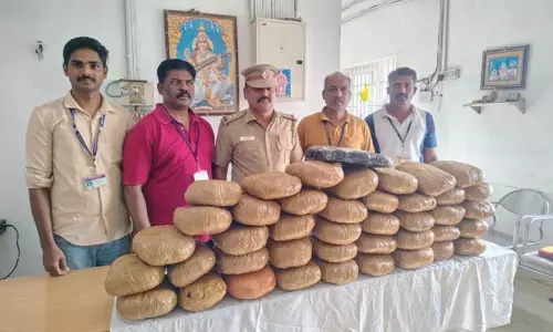 கோவை: அசாமில் இருந்து ரெயிலில் கடத்திவரப்பட்ட 44 கிலோ கஞ்சா பறிமுதல் கோவை: அசாமில் இருந்து ரெயிலில் கடத்திவரப்பட்ட 44 கிலோ கஞ்சா பறிமுதல்