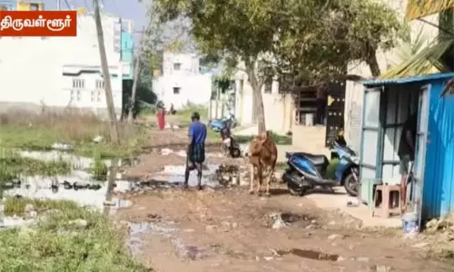 பூட்டிய வீட்டுக்குள் 2 சகோதரிகளின் சடலங்கள் அழுகிய நிலையில் மீட்பு - திருவள்ளூரில் பரபரப்பு பூட்டிய வீட்டுக்குள் 2 சகோதரிகளின் சடலங்கள் அழுகிய நிலையில் மீட்பு - திருவள்ளூரில் பரபரப்பு