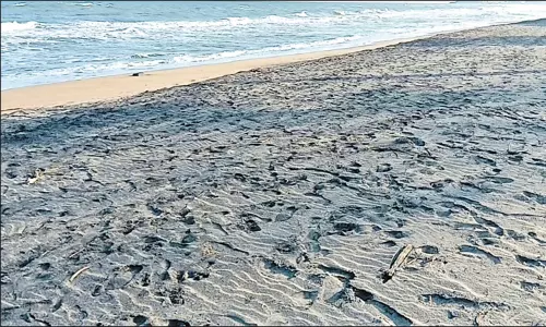 மாமல்லபுரம் கடற்கரையில் அதிக அளவில் காணப்படும் தாதுமணல் மாமல்லபுரம் கடற்கரையில் அதிக அளவில் காணப்படும் தாதுமணல்