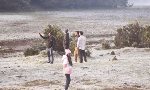 ஊட்டியில் உறைபனி: சுற்றுலா பயணிகள் குதூகலம் ஊட்டியில் உறைபனி: சுற்றுலா பயணிகள் குதூகலம்