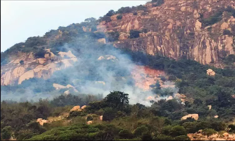 திருவண்ணாமலை: மகா தீப மலையில் தீ வைத்த மர்ம நபர்கள் திருவண்ணாமலை: மகா தீப மலையில் தீ வைத்த மர்ம நபர்கள்