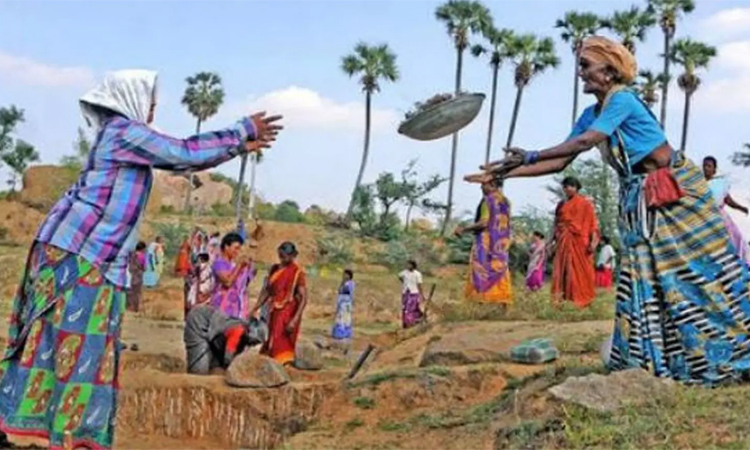 100 நாள் வேலை திட்டத்தில் மாநிலங்களுக்கான நிதிஒதுக்கீட்டை குறைக்க மத்திய அரசு திட்டம்