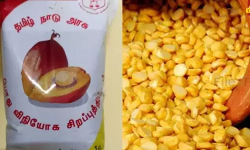 பாமாயில், பருப்பு கொள்முதல்: ஒப்பந்தம் கோரியது தமிழ்நாடு அரசு பாமாயில், பருப்பு கொள்முதல்: ஒப்பந்தம் கோரியது தமிழ்நாடு அரசு