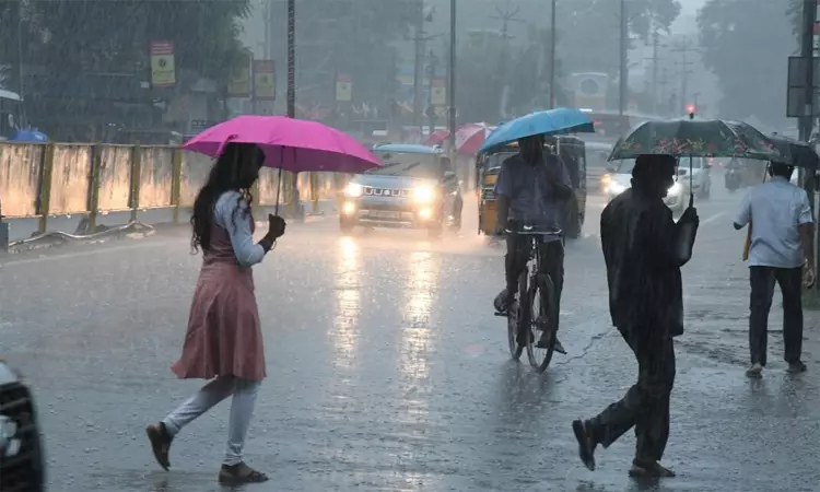 தென்காசி, நெல்லை மாவட்டங்களில் இன்று கனமழைக்கு வாய்ப்பு தென்காசி, நெல்லை மாவட்டங்களில் இன்று கனமழைக்கு வாய்ப்பு