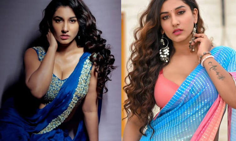 'அவர் அப்படிப்பட்டவர் என்று நான் நினைக்கவே இல்லை...விஷ்ணு பிரியாவின் பரபரப்பு கருத்துகள்