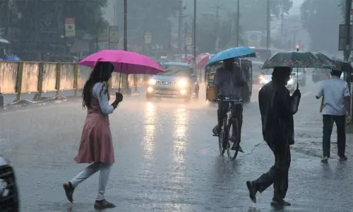 தென்காசி, நெல்லை மாவட்டங்களில் இன்று கனமழைக்கு வாய்ப்பு தென்காசி, நெல்லை மாவட்டங்களில் இன்று கனமழைக்கு வாய்ப்பு