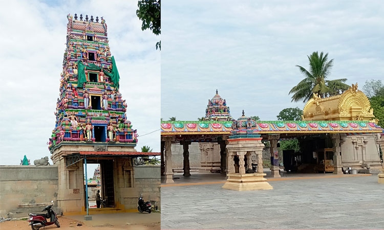 சேவூர் ஸ்ரீவாலீஸ்வரர் கோவிலில் ஆருத்ரா தரிசனம்: 29-ந்தேதி  விழா ஆரம்பம்