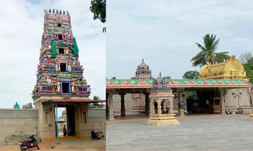 சேவூர் ஸ்ரீவாலீஸ்வரர் கோவிலில் ஆருத்ரா தரிசனம்: 29-ந்தேதி  விழா ஆரம்பம்