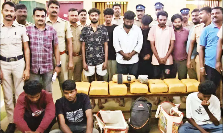 திருப்பூர்: வீட்டில் பதுக்கி வைத்திருந்த 38 கிலோ கஞ்சா பறிமுதல் - 9 பேர் கைது திருப்பூர்: வீட்டில் பதுக்கி வைத்திருந்த 38 கிலோ கஞ்சா பறிமுதல் - 9 பேர் கைது