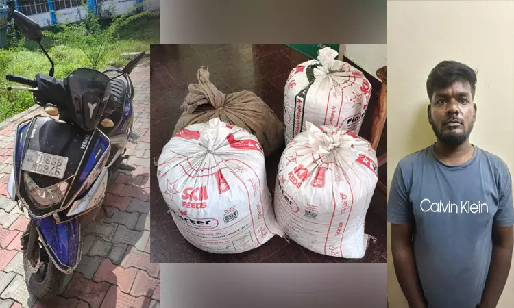 இலங்கைக்கு கடத்த முயன்ற ரூ.1 கோடி மதிப்பிலான கஞ்சா பறிமுதல்: வாலிபர் கைது இலங்கைக்கு கடத்த முயன்ற ரூ.1 கோடி மதிப்பிலான கஞ்சா பறிமுதல்: வாலிபர் கைது