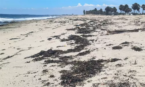 குமரி மாவட்ட கடற்கரை கிராமங்கள் மிகவும் அசுத்தம்..! - அரசின் ஆய்வறிக்கை கூறுவதென்ன..?