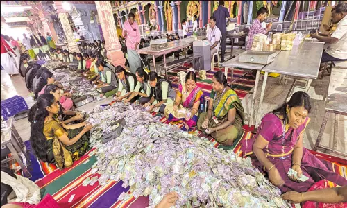 பழனி முருகன் கோவிலில் உண்டியல் காணிக்கை மூலம் ரூ.2.62 கோடி வருமானம் பழனி முருகன் கோவிலில் உண்டியல் காணிக்கை மூலம் ரூ.2.62 கோடி வருமானம்