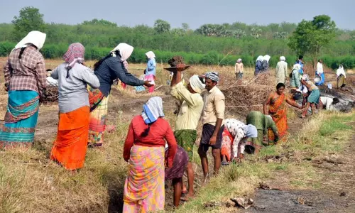 ஊரக வேலைத்திட்ட புதிய மசோதா: தமிழகத்திற்கு என்னென்ன பாதிப்புகள் ஏற்படும்...? ஊரக வேலைத்திட்ட புதிய மசோதா: தமிழகத்திற்கு என்னென்ன பாதிப்புகள் ஏற்படும்...?