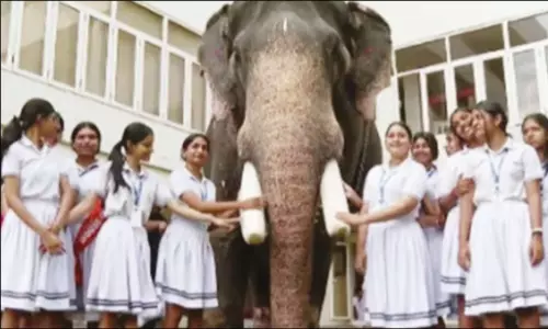 பள்ளியில் நடந்த செல்ல பிராணிகள் கண்காட்சிக்கு யானையை அழைத்து வந்த மாணவி பள்ளியில் நடந்த செல்ல பிராணிகள் கண்காட்சிக்கு யானையை அழைத்து வந்த மாணவி