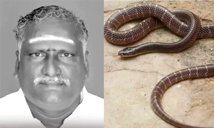 இன்சூரன்ஸ் பணத்துக்காக தந்தையை கொன்ற மகன்கள் - பாம்பை விட்டு கடிக்க வைத்தது அம்பலம் இன்சூரன்ஸ் பணத்துக்காக தந்தையை கொன்ற மகன்கள் - பாம்பை விட்டு கடிக்க வைத்தது அம்பலம்