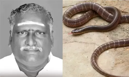 இன்சூரன்ஸ் பணத்துக்காக தந்தையை கொன்ற மகன்கள் - பாம்பை விட்டு கடிக்க வைத்தது அம்பலம்