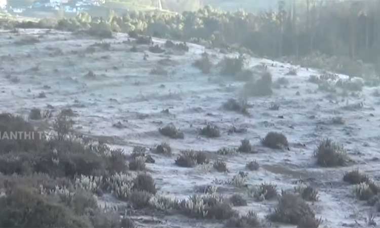 வார விடுமுறை: உறைபனியை அனுபவிக்க ஊட்டியில் குவிந்த சுற்றுலா பயணிகள்