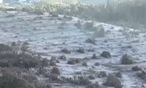 வார விடுமுறை: உறைபனியை அனுபவிக்க ஊட்டியில் குவிந்த சுற்றுலா பயணிகள்