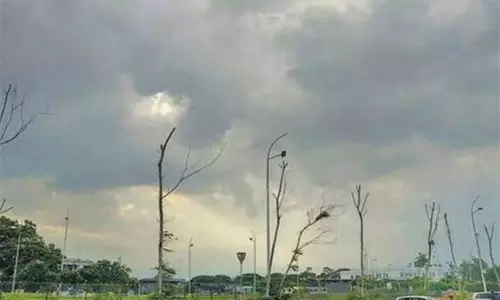 தமிழகத்தில் ஒரு வாரத்துக்கு வறண்ட வானிலை நிலவக்கூடும் - வானிலை ஆய்வு மையம்