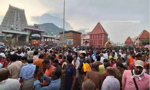 விடுமுறை தினம்: திருவண்ணாமலையில் அலைமோதிய பக்தர்கள் கூட்டம்