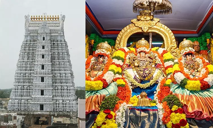 திருப்பதி கோவிந்தராஜ சுவாமி கோவிலில் 25-ம் தேதி கோவில் ஆழ்வார் திருமஞ்சனம் திருப்பதி கோவிந்தராஜ சுவாமி கோவிலில் 25-ம் தேதி கோவில் ஆழ்வார் திருமஞ்சனம்
