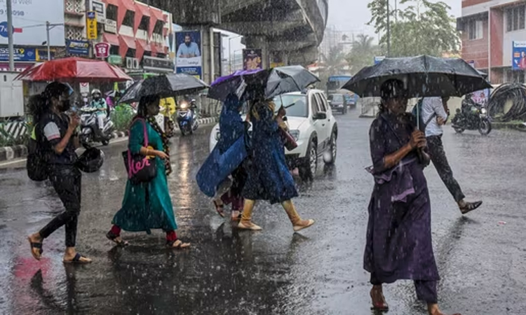 தமிழகத்தில் அடுத்த 7 நாட்களுக்கு மிதமான மழைக்கு வாய்ப்பு