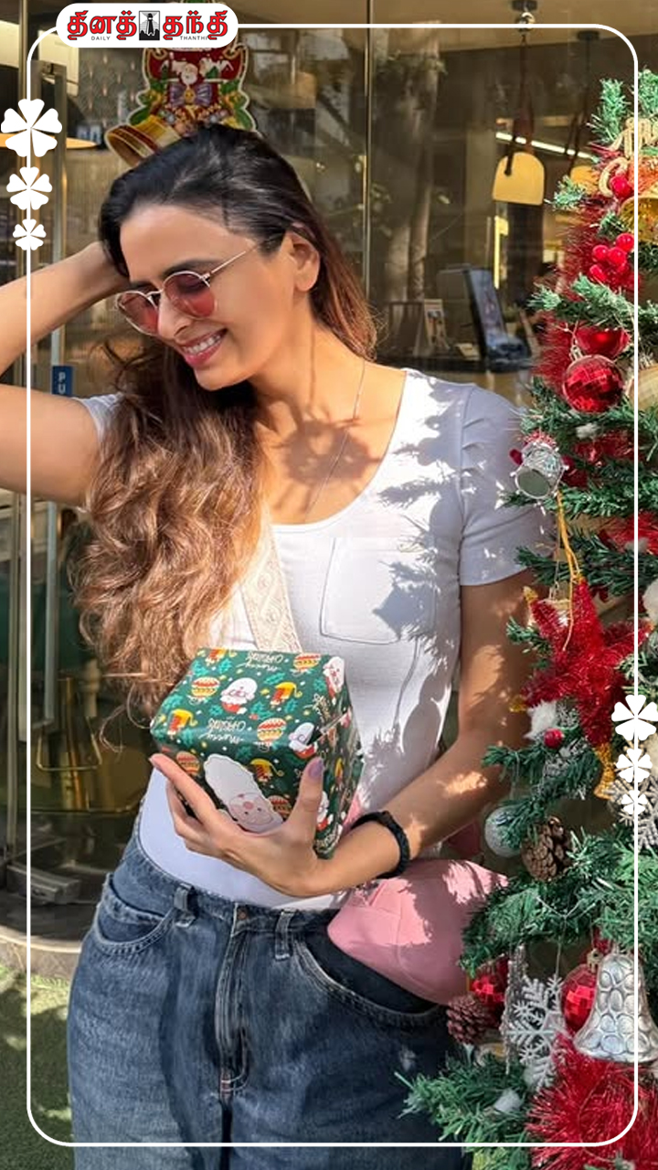 கிறிஸ்துமஸ் கொண்டாட்டத்தில் நடிகை மீனாட்சி தீட்சித்.!!