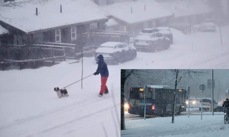 ஸ்வீடனில் பனிப்புயல்: 3 பேர் பலி