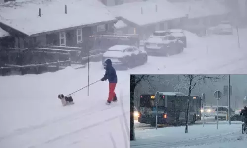 ஸ்வீடனில் பனிப்புயல்: 3 பேர் பலி ஸ்வீடனில் பனிப்புயல்: 3 பேர் பலி