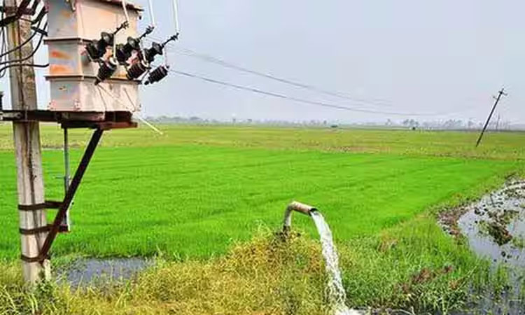 இலவச விவசாய மின் இணைப்பு பதிவுக்கான கால அவகாசத்தை நீட்டிக்க வேண்டும் - அரசுக்கு விவசாயிகள் கோரிக்கை