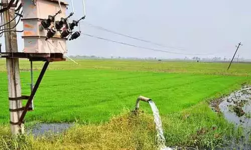 இலவச விவசாய மின் இணைப்பு தட்கல் பதிவுக்கான கால அவகாசத்தை நீட்டிக்க வேண்டும் - அரசுக்கு விவசாயிகள் கோரிக்கை