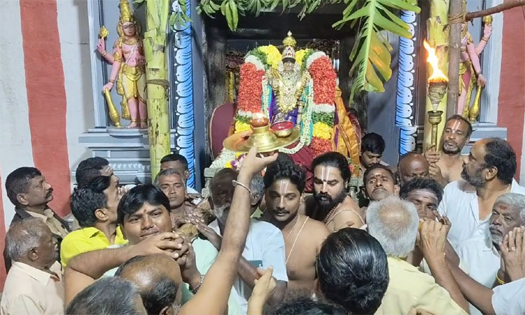 தாடிக்கொம்பு சௌந்தரராஜ பெருமாள் கோவிலில் சொர்க்கவாசல் திறப்பு