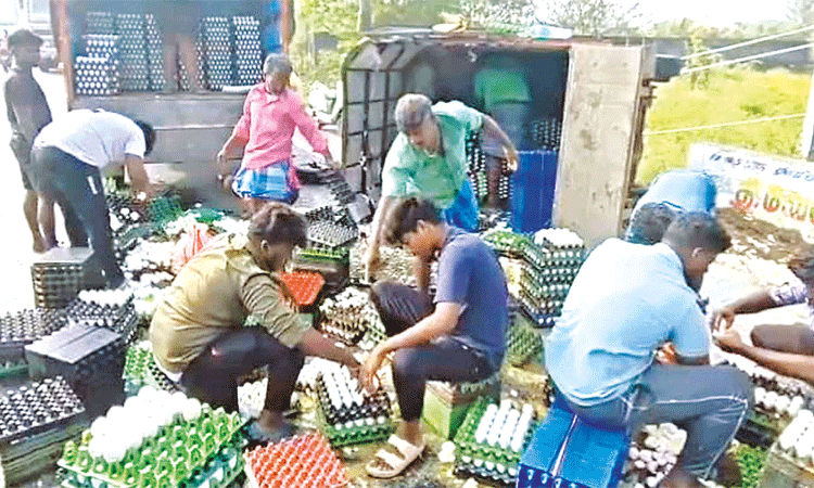 விழுப்புரம் அருகே சரக்கு வாகனம் கவிழ்ந்து ரூ.1 லட்சம் முட்டைகள் சேதம்