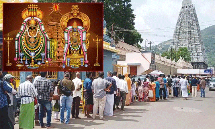 புத்தாண்டையொட்டி, அண்ணாமலையார் கோவிலில் குவிந்த பக்தர்கள்.! புத்தாண்டையொட்டி, அண்ணாமலையார் கோவிலில் குவிந்த பக்தர்கள்.!