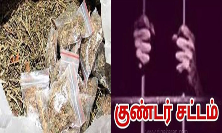 கஞ்சா விற்பனை வழக்கில் வாலிபர் குண்டர் சட்டத்தில் கைது
