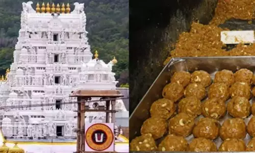 திருப்பதி ஏழுமலையான் கோவிலில் 13.5 கோடி லட்டுகள் விற்று புதிய சாதனை