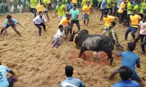 2026-ம் ஆண்டின் முதல் ஜல்லிக்கட்டு போட்டி தொடங்கியது