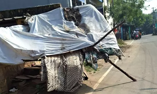 பெண் மீன் வியாபாரியை தாக்கி, கடை சூறை: பெண்கள் உட்பட 5 பேர் மீது வழக்குப்பதிவு பெண் மீன் வியாபாரியை தாக்கி, கடை சூறை: பெண்கள் உட்பட 5 பேர் மீது வழக்குப்பதிவு