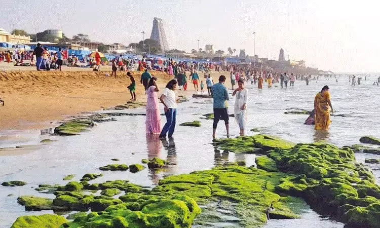 திருச்செந்தூரில் 50 அடி தூரம் உள்வாங்கிய கடல் திருச்செந்தூரில் 50 அடி தூரம் உள்வாங்கிய கடல்