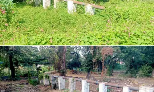 Overgrown plants and bushes removed from Erode V.O.C. Park