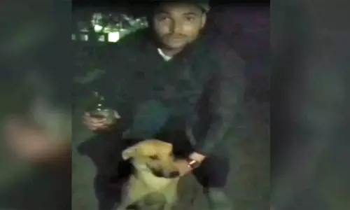 தெருநாய்க்கு மதுபானம் கொடுத்த இளைஞர் - அதிர்ச்சி வீடியோ