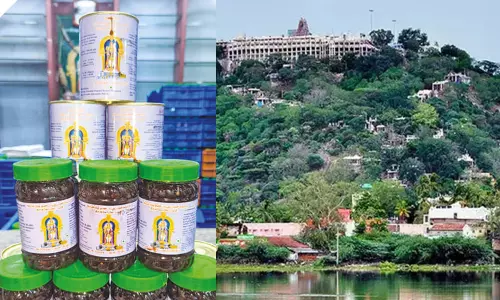 தனியார் இணையதளங்கள் மூலம் பஞ்சாமிர்தம் விற்கப்படுவதில்லை - பழனி கோவில் நிர்வாகம் அறிவிப்பு தனியார் இணையதளங்கள் மூலம் பஞ்சாமிர்தம் விற்கப்படுவதில்லை - பழனி கோவில் நிர்வாகம் அறிவிப்பு