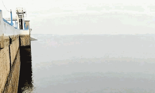 மழை இல்லாததால் வைகை அணை நீர்மட்டம் 48 அடியாக சரிவு மழை இல்லாததால் வைகை அணை நீர்மட்டம் 48 அடியாக சரிவு