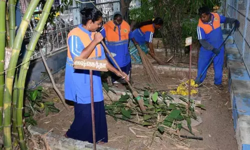 தினசரி சராசரியாக 6,300 டன் திடக்கழிவுகள் அகற்றம்: சென்னை மாநகராட்சி தினசரி சராசரியாக 6,300 டன் திடக்கழிவுகள் அகற்றம்: சென்னை மாநகராட்சி
