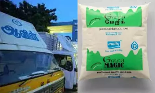 ஆவின் பச்சை நிற பால் பாக்கெட் விலை உயர்த்தப்பட்டுள்ளதா? - அரசு விளக்கம்