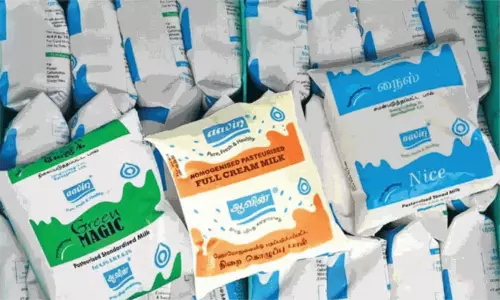 தமிழ்நாட்டில் நாள் ஒன்றுக்கு 31 லட்சம் லிட்டர் பால் விநியோகம்: ஆவின் நிர்வாகம் தகவல்