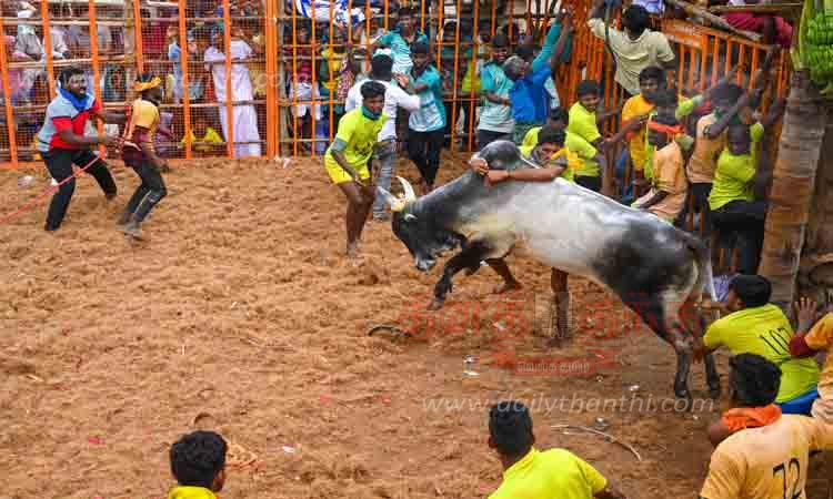 ஜல்லிக்கட்டில் பங்கேற்கும் காளைகள், வீரர்களுக்கான இணையதள பதிவு: இன்று மாலை வரை அனுமதி