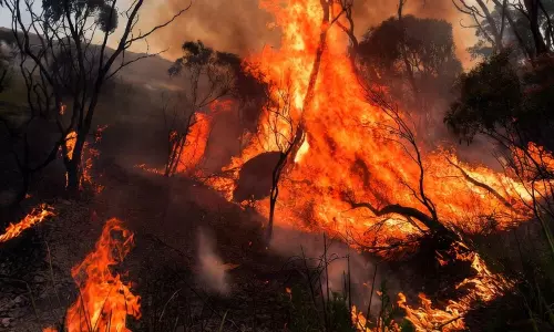 ஆஸ்திரேலியாவில் வேகமாக பரவும் காட்டுத்தீ: ஒருவர் பலி