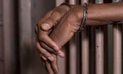 மயில்களை வேட்டையாடிய 5 பேர் கைது