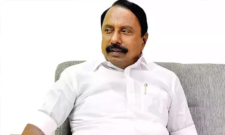 விஜய் கைகாட்டுபவர்களே எம்.எல்.ஏ.க்கள்- செங்கோட்டையன் பேட்டி